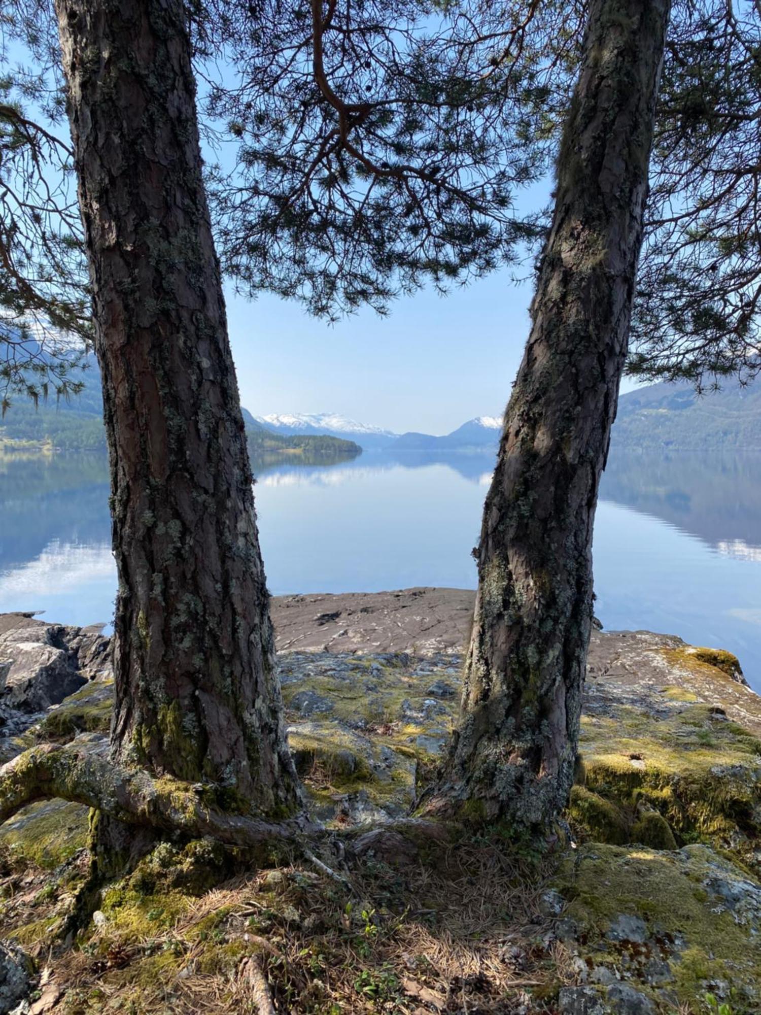 Naustloftet Villa Hornindal Kültér fotó