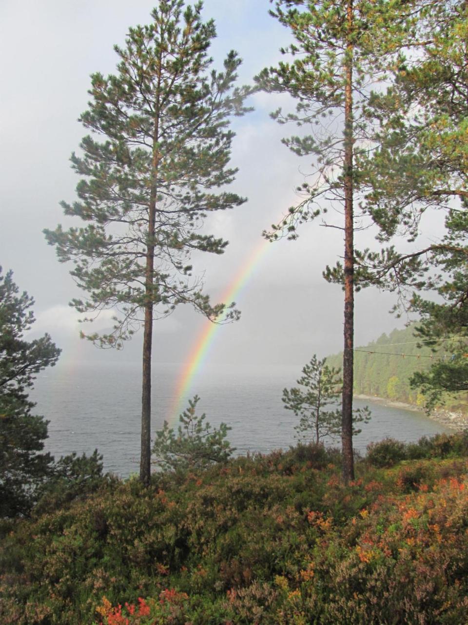 Naustloftet Villa Hornindal Kültér fotó